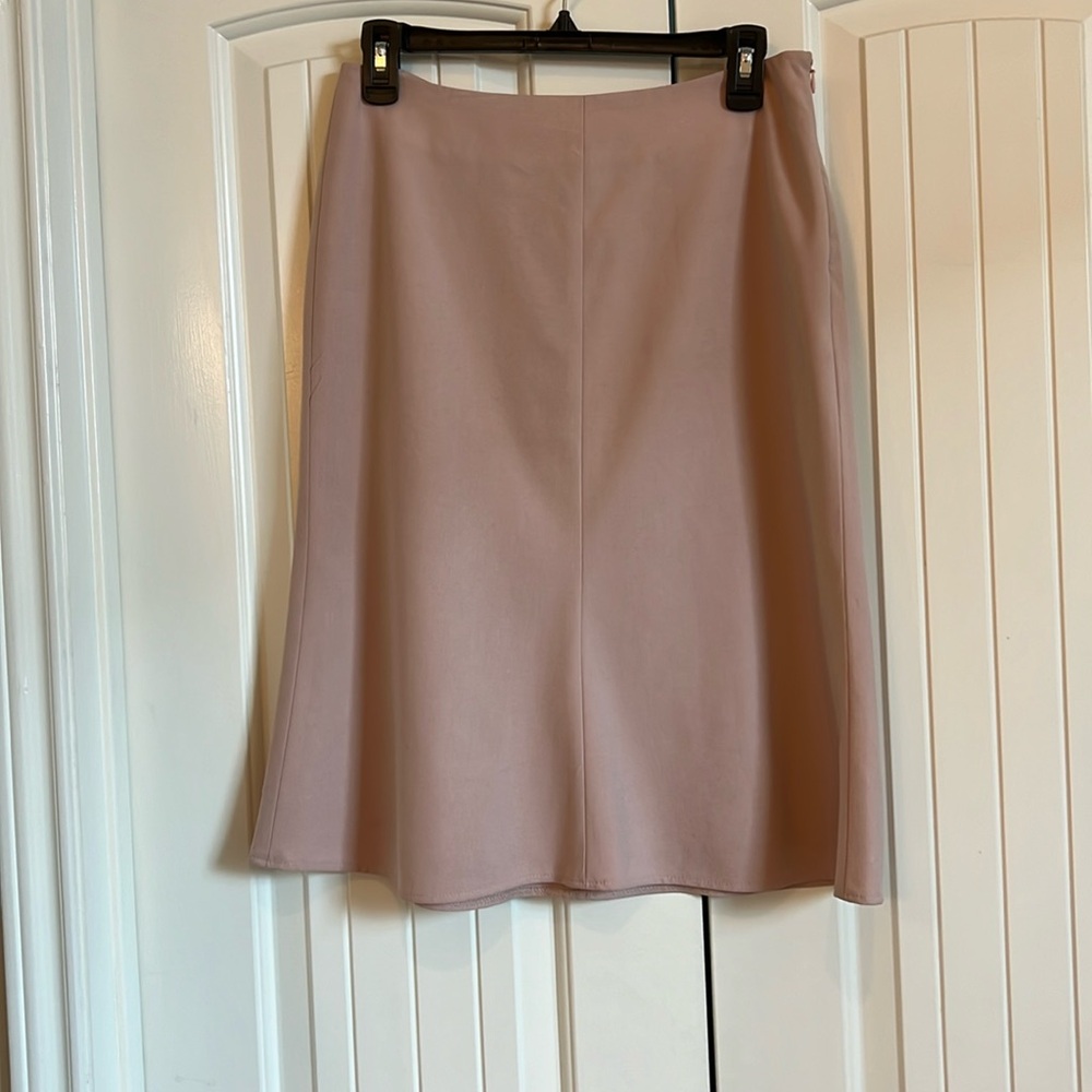 Skirt (The Limited)